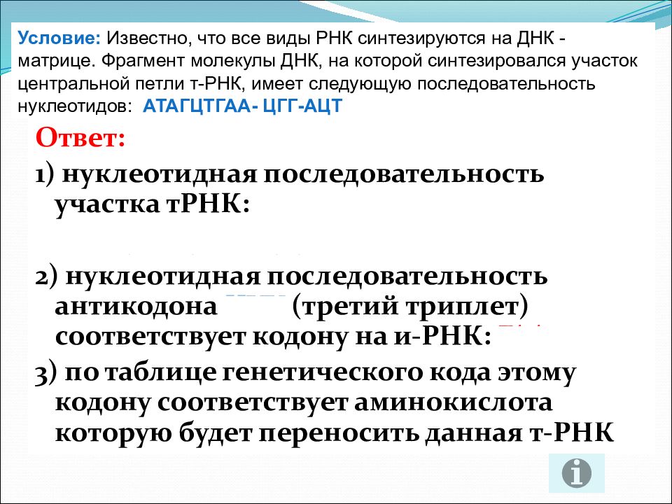 Известно что все виды рнк. Нуклеотидная последовательность участка ТРНК. Нуклеотидный код. Нуклеотидная последовательность участка ТРНК — уау-ЦГА-цуу-гцц-УГА;. Базы данных нуклеотидных последовательностей.