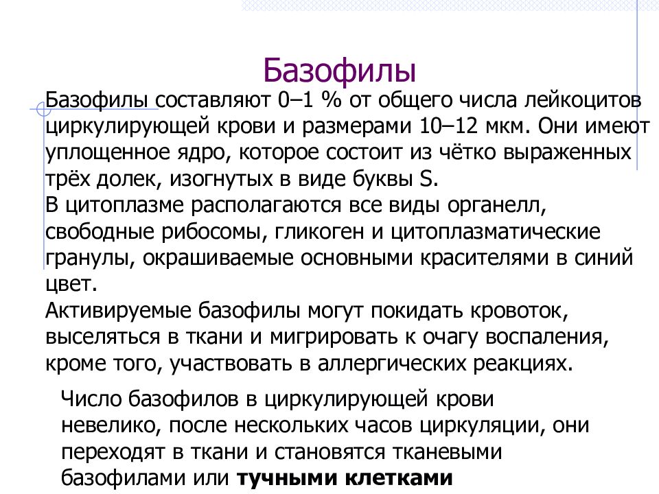 Базофилы повышены у женщин повышенные. Базофилы в крови повышены. Базофилы 1.1.