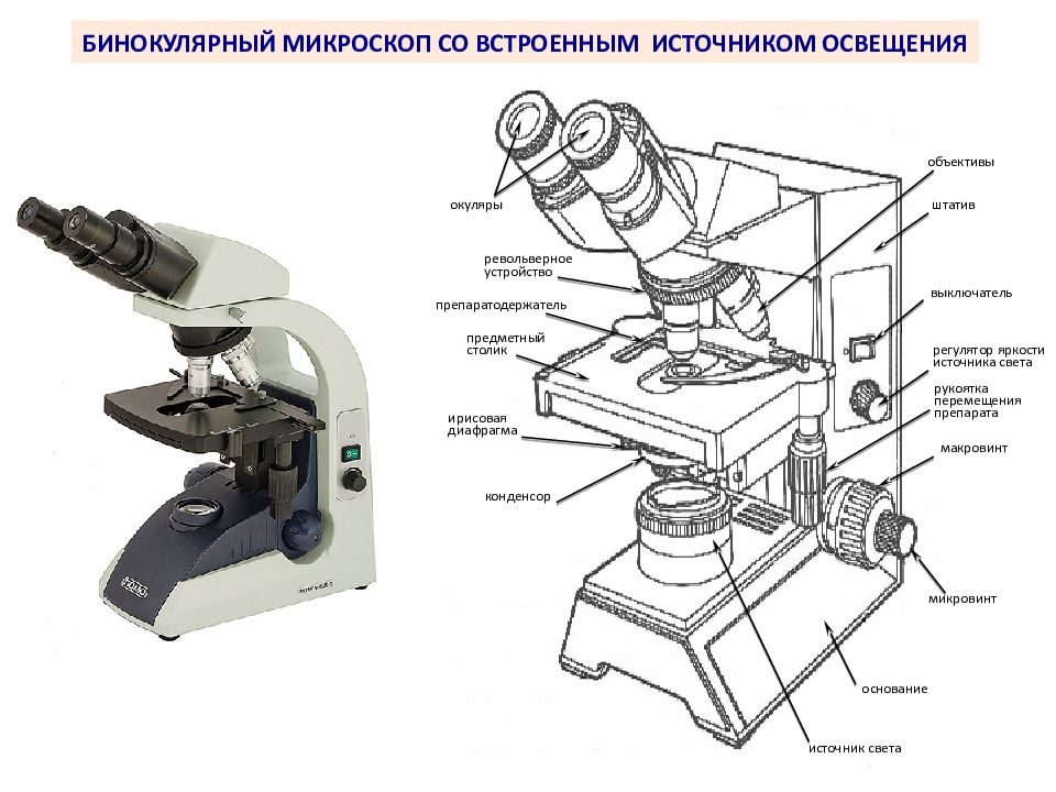 Схема устройства микроскопа