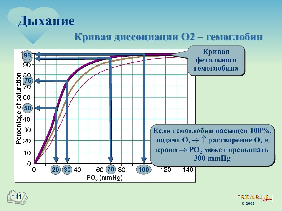 Давление диссоциации