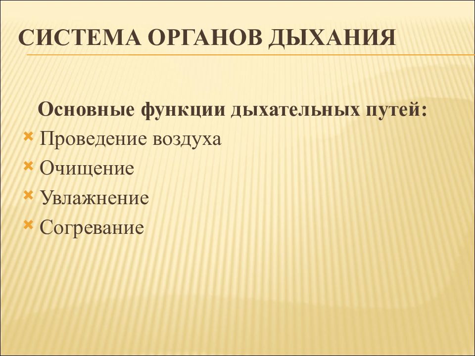 Проведение воздуха. Функции дыхательных путей. Основные функции органов дыхания. Основные функции дыхательных путей. В дыхательных путях происходит согревание воздуха так как.