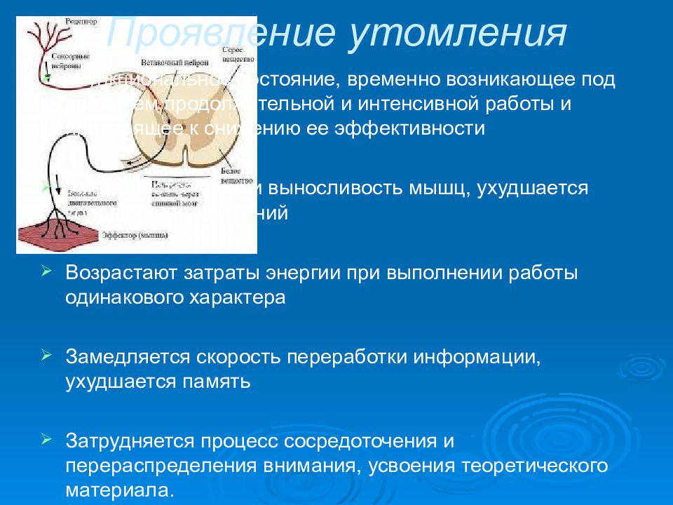 Возникнуть временный