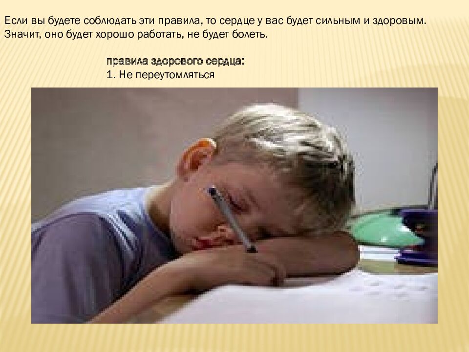 Как работает наше сердце