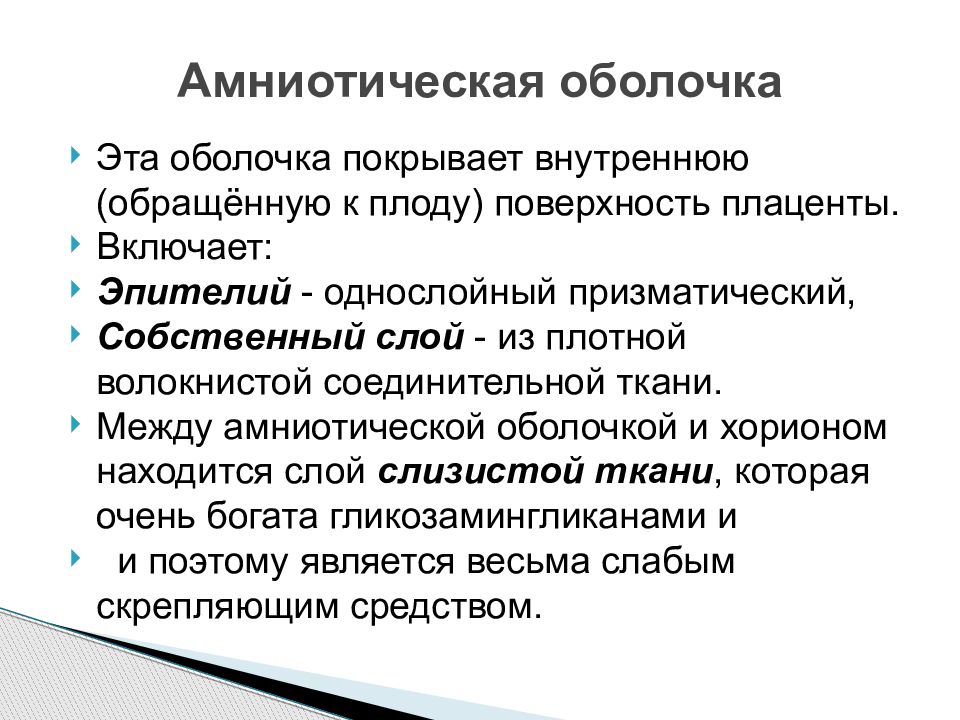 Эмбриональное развитие человека презентация 10 класс