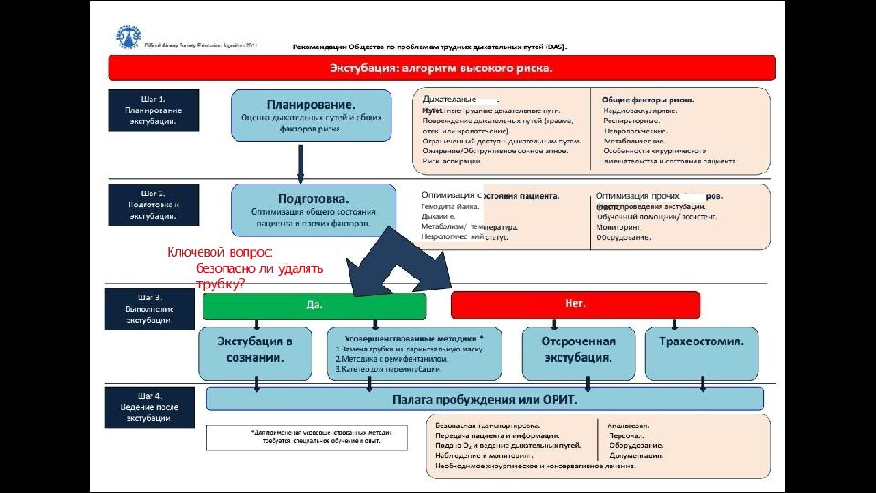 Трудные дыхательные пути в анестезиологической практике. Difficult Airway