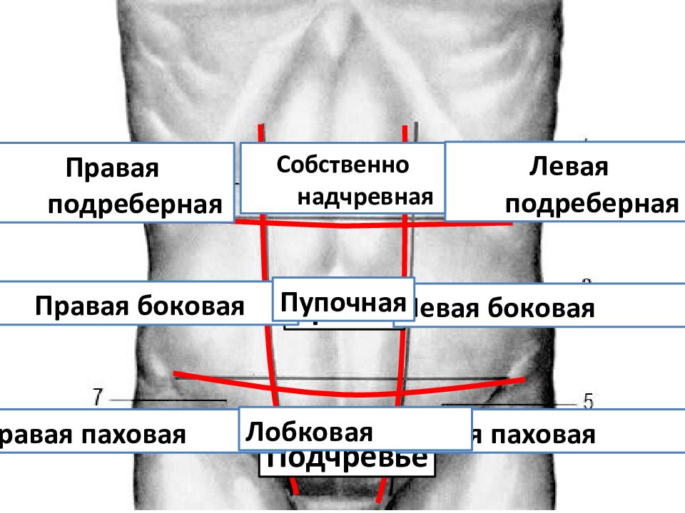 Симптомы грыжи живота. Грыжа живота классификация. Грыжа в верхней части живота. Грыжи переднебоковой стенки живота.