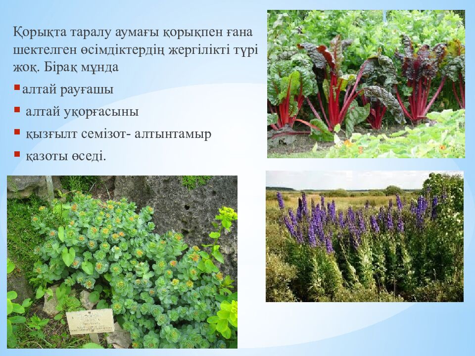 Марқакөл қорығы