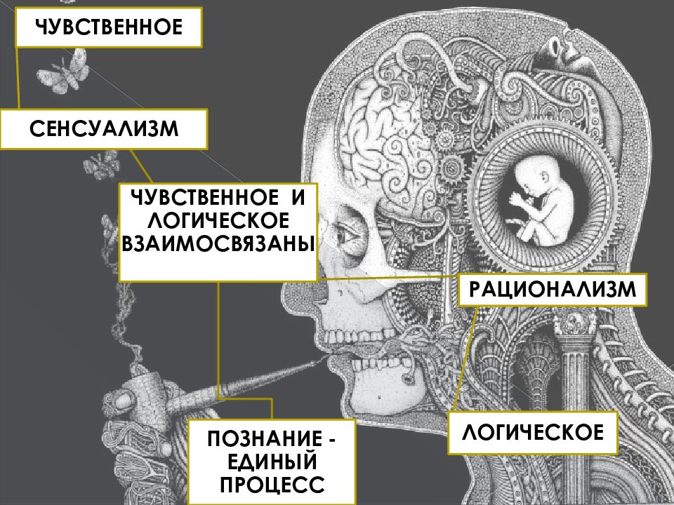 Познание в философии картинки для презентации