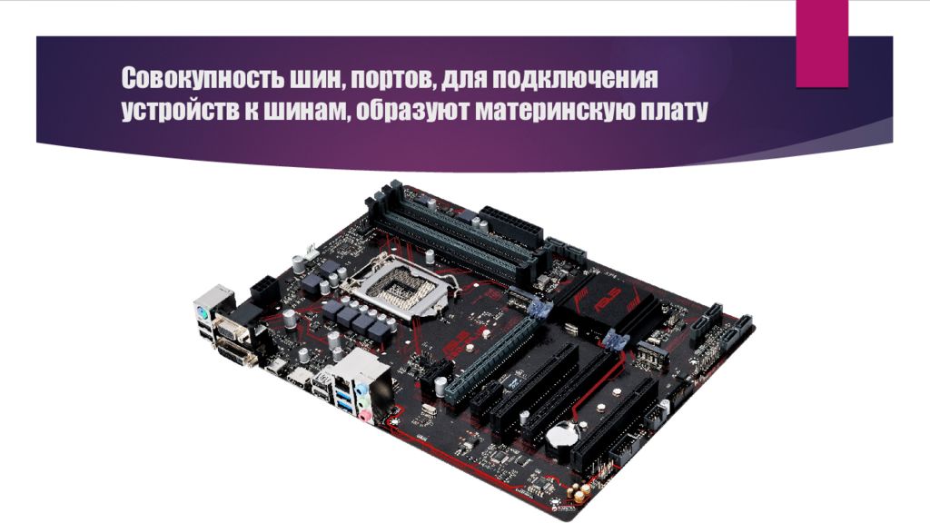 Совокупность шины