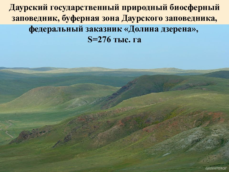 Даурский заповедник на карте. Долина дзерена Забайкальского края. Заповедник Долина дзерена. Долина дзерена государственный природный заказник. Долина дзерена заказник на карте.