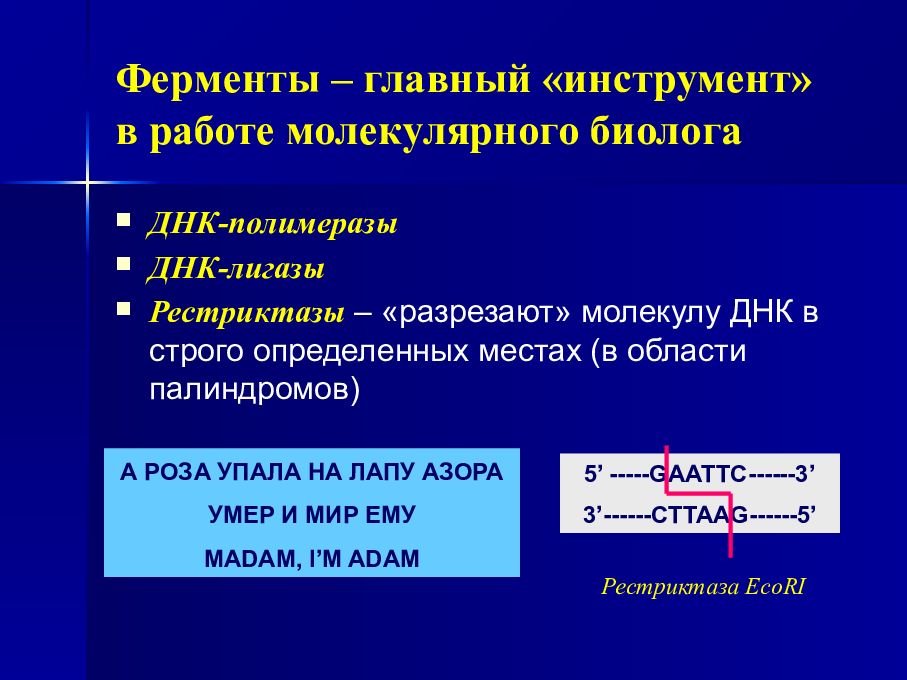 Молекулярная работа. Ферменты трансляции. Палиндромы ДНК. Палиндром генетика. Рестриктазы и лигазы.