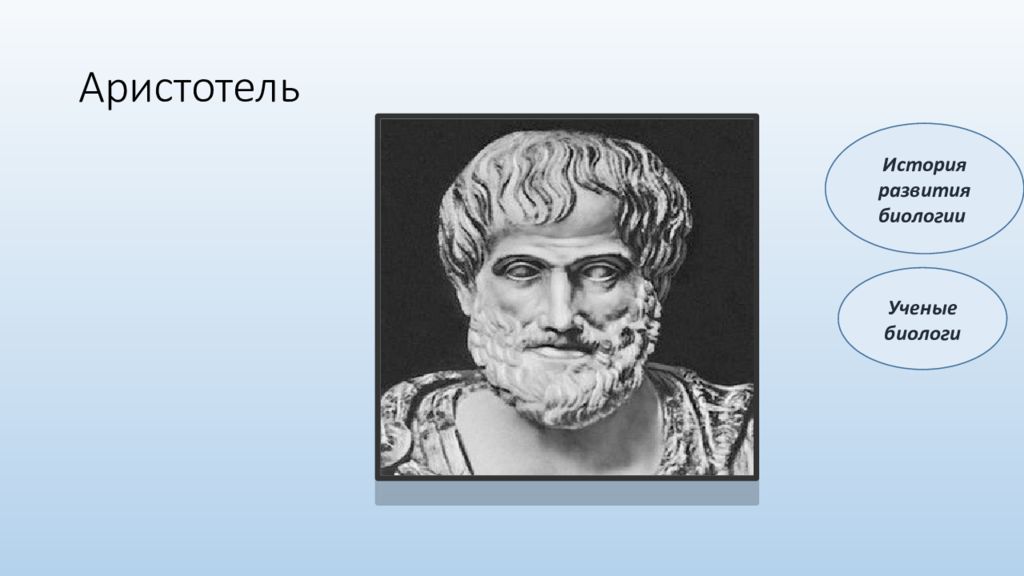 Аристотель презентация. Аристотель  (3 в. до н.э.). Ученые биологи Аристотель. Аристотель биология 5 класс. Аристотель ученый открытие.