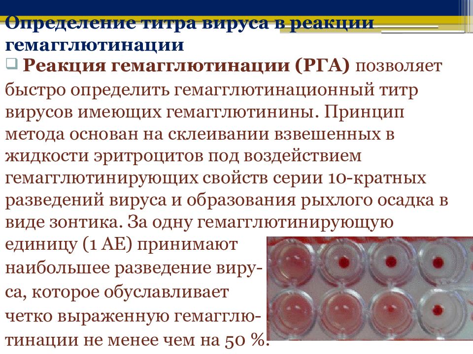 Метод парных сывороток. Положительная реакция гемагглютинации. Реакция гемагглютинации вирусов. Реакция задержки гемагглютинации. Парные сыворотки в РПГА.