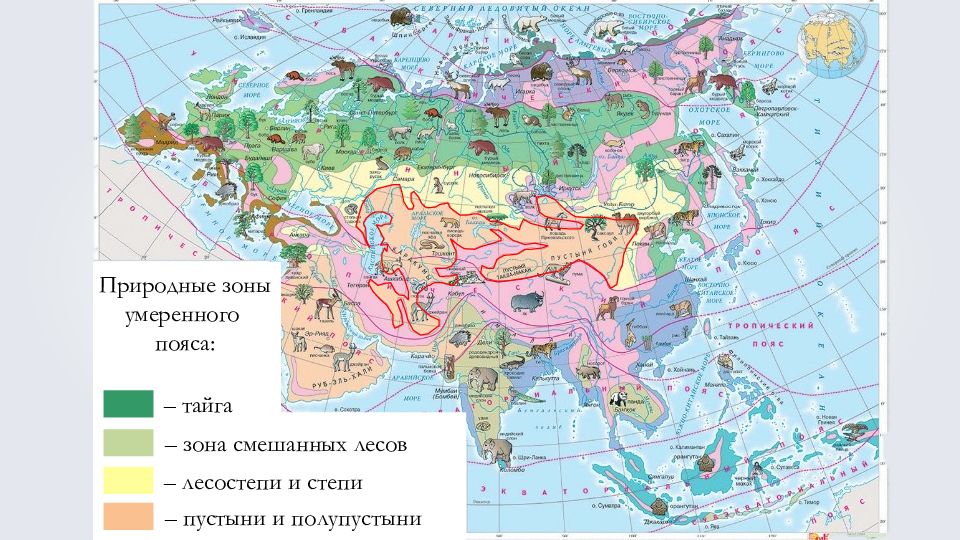 Карта природных зон японии