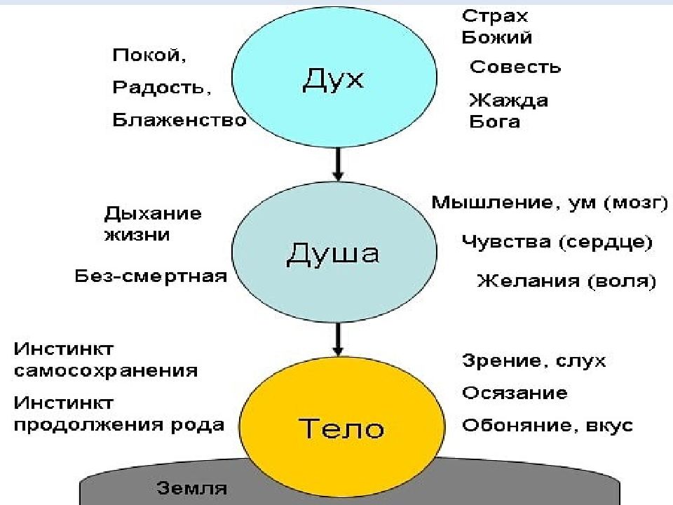 Дух смысл. Человек как единство тела и духа. Человек единство духа и тела. Единство души и тела. Согласно современным представлениям, тело и душа в человеке.