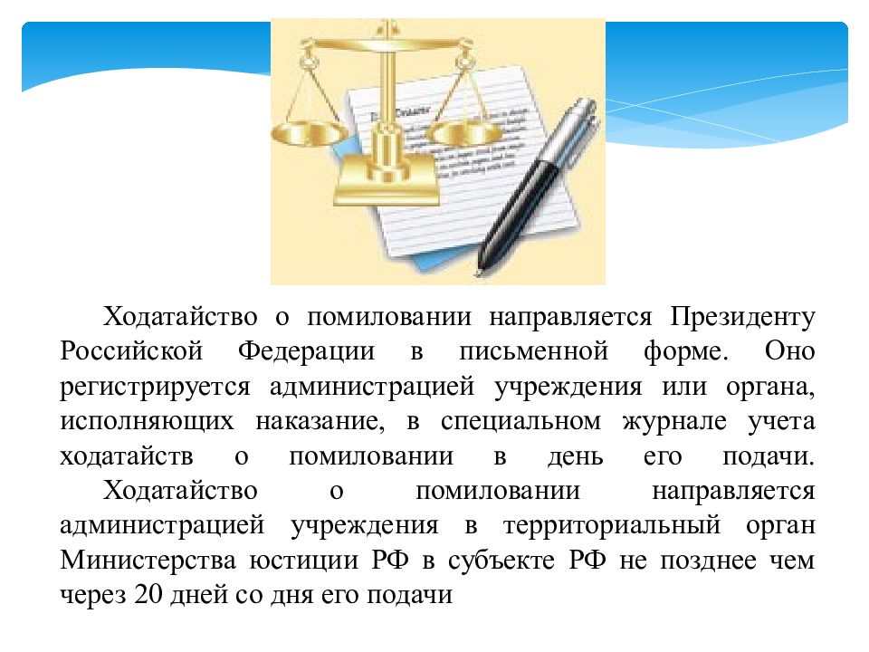 Помилование президента. Ходатайство о помиловании. Ходатайство о помиловании осужденного. Помилованиеходотайство. Материнское прошение о помиловании.