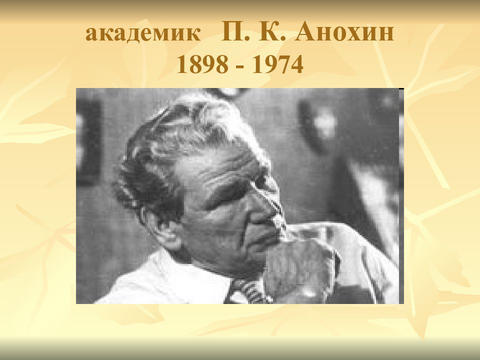 Академик п. П. К. Анохин (1898—1974). Академик Анохин. П.К. Анохин основные труды. Анохин и Павлов.