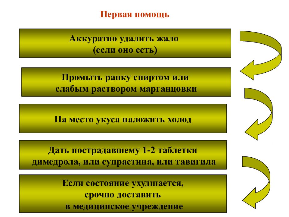 Первая помощь при укусах насекомых презентация