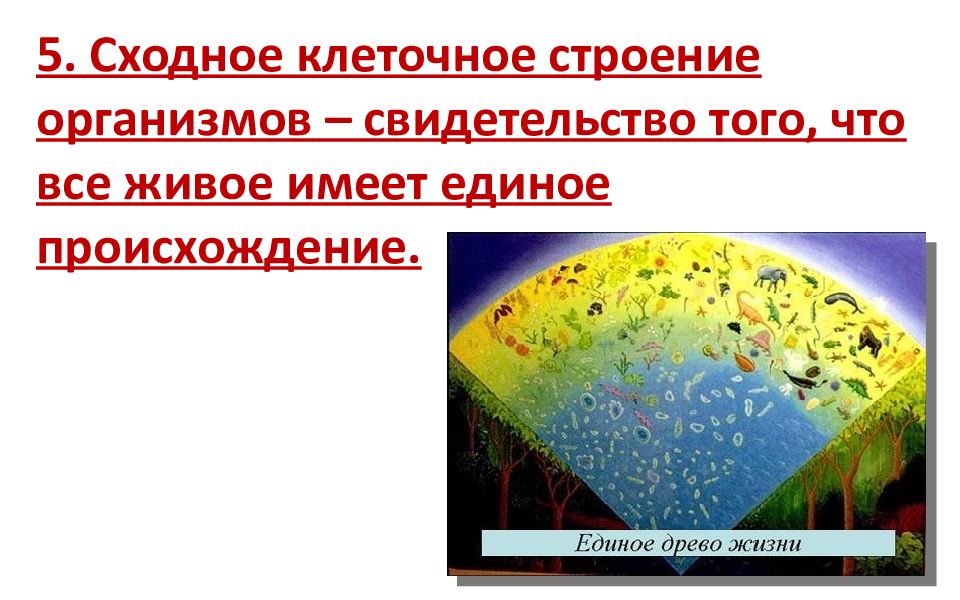 Все живое имеет. Сходное клеточное строение организмов. Единое происхождение. Единое происхождение всех живых. Картинки единое Древо жизни и сходное клеточное строение организмов.