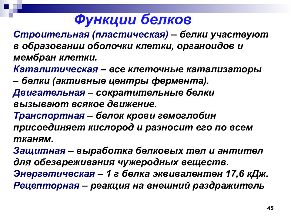 Пластические белки. Основные функции белков пластическая. Классификация пептидов и белков. Белки не участвуют в.