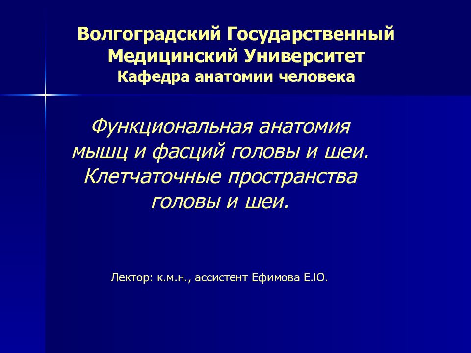 Волгоградский Государственный Медицинский Университет Кафедра анатомии человека