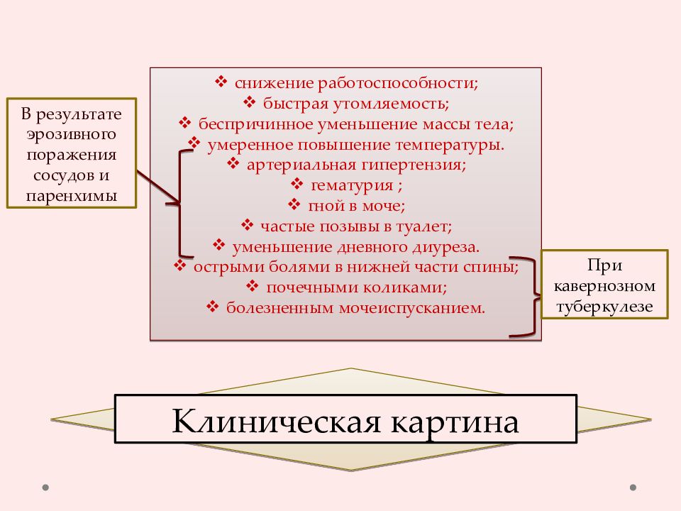 Туберкулез почек и мочевыводящих путей презентация