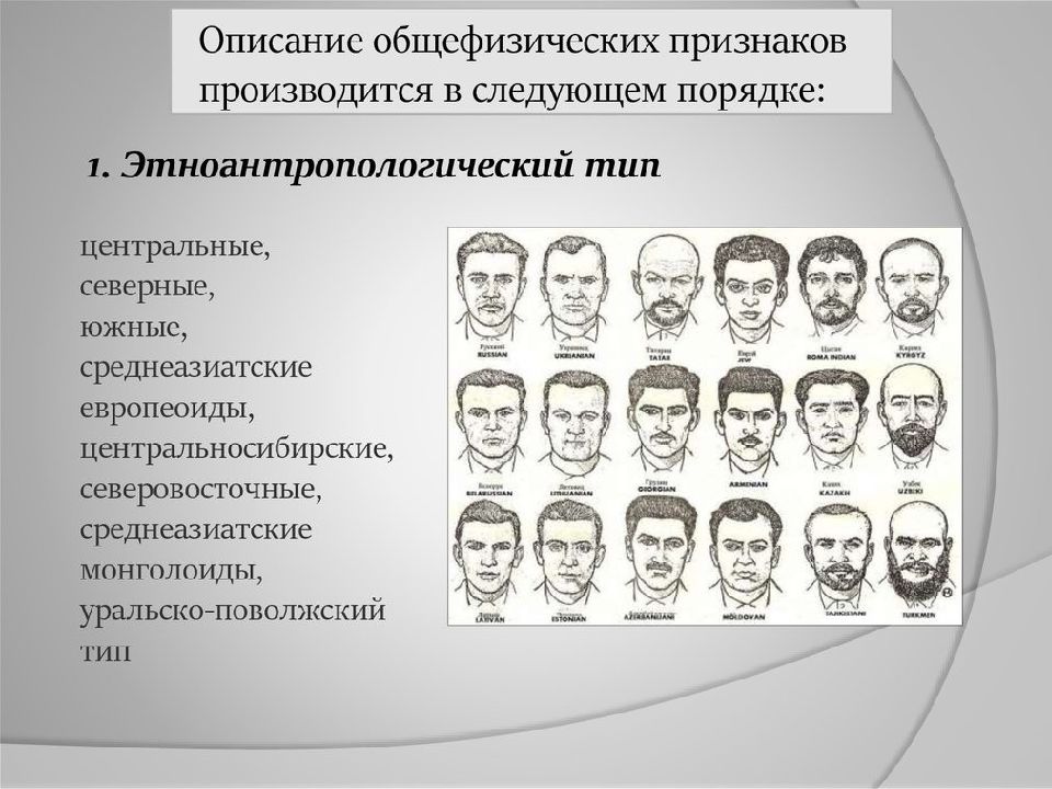 Правила описания внешности человека по методу словесного портрета презентация