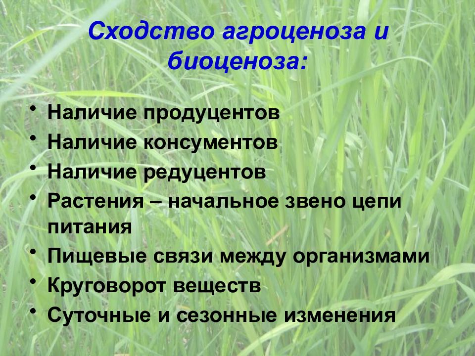 Агроэкосистема агроценоз как искусственное сообщество организмов презентация 9 класс