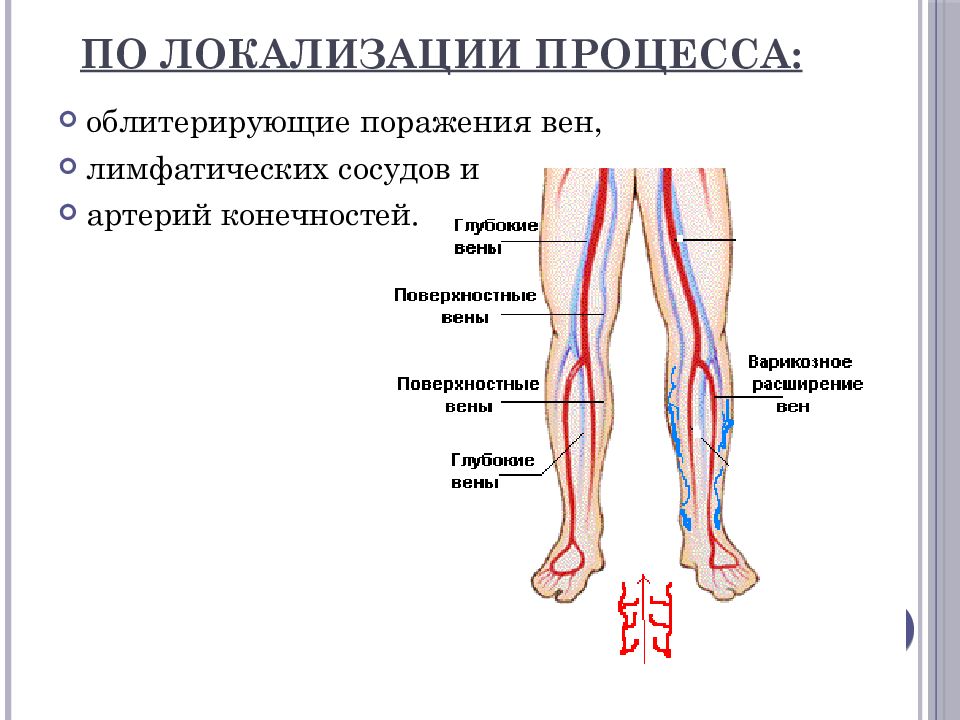 Облитерирующие заболевания сосудов. Облитерирующие заболевания вен нижних конечностей. Сосуды нижних конечностей анатомия. Артерии нижней конечности.