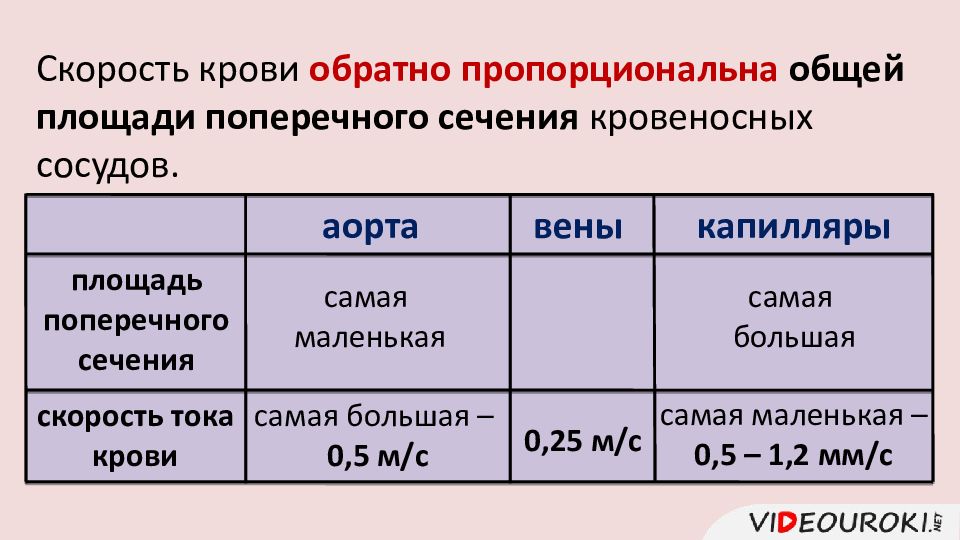 Давление в артерии человека