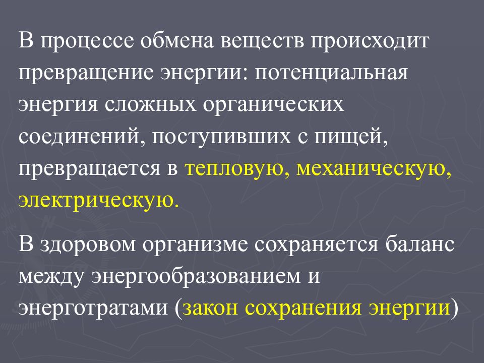 Основной обмен веществ презентация