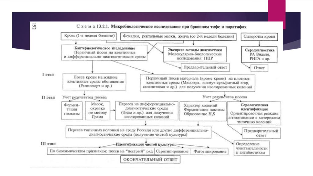 Микробиологическая диагностика. Бактериологическое исследование при брюшном тифе. Микробиологическое исследование при брюшном тифе и паратифе. Бактериологический метод диагностики брюшного тифа. Микробиологическая диагностика брюшного тифа и паратифов.