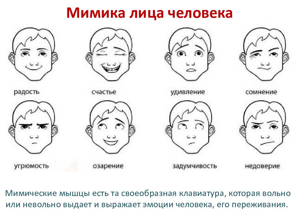 Общаться какое лицо. Невербальные средства общения мимика. Различные выражения лица. Схема мимики лица человека. Мимика лица в схемах.