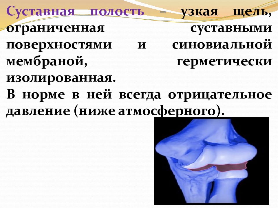 Полость сустава. 5. В суставной полости существует отрицательное давление.