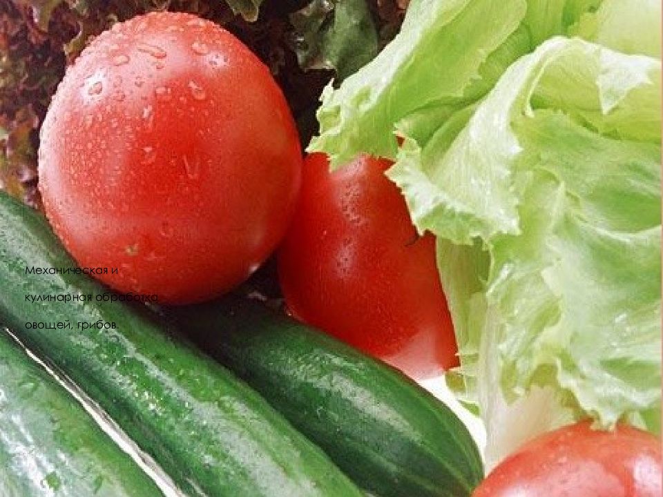 Механическая и кулинарная обработка овощей, грибов.
