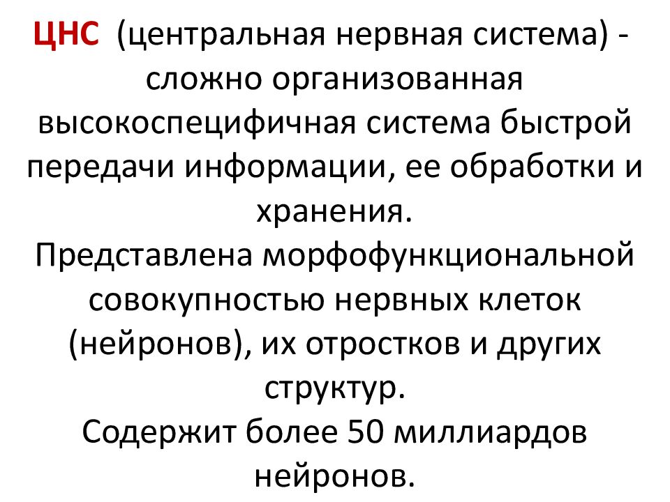 ЦНС (центральная нервная система) - сложно организованная высокоспецифичная система быстрой передачи информации, ее обработки и хранения. Представлена