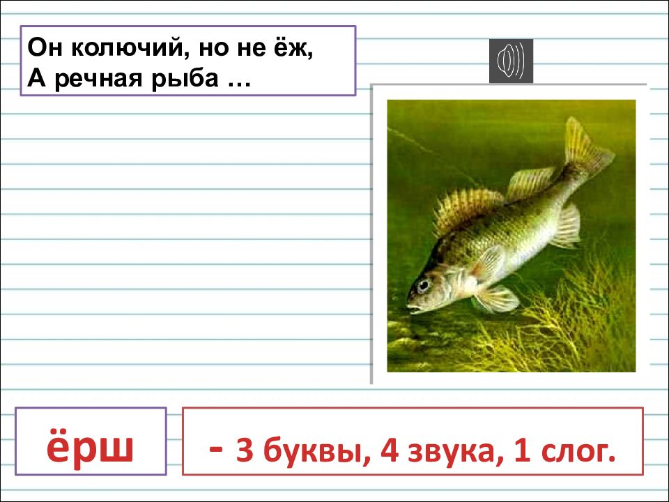 Звуко - буквенный анализ слов я - е - ё - ю в начале слова после гласных после