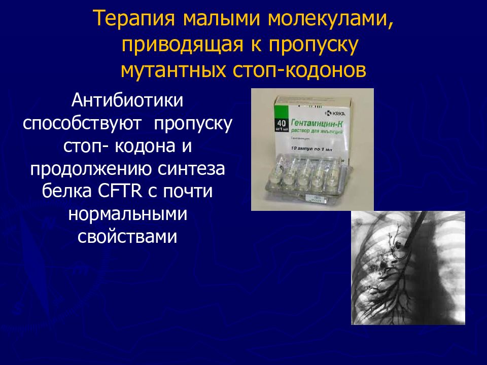 Лечение и предупреждение некоторых наследственных болезней человека презентация