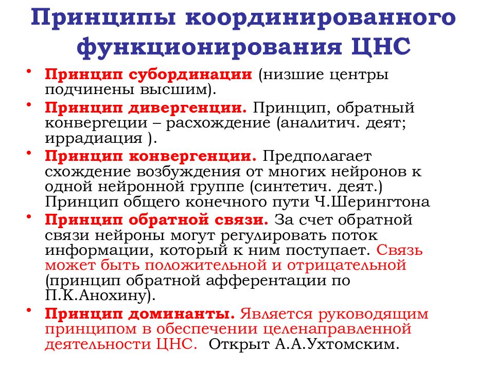 Принцип центр. Принцип обратной связи координация ЦНС. Принципы координационной деятельности ЦНС физиология. Принцип координационной деятельности нервной системы рефлекторный. Принципы координационной деятельности ЦНС принцип Доминанты.