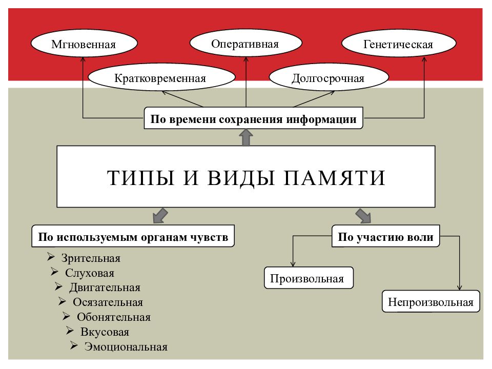 Схема процессы памяти