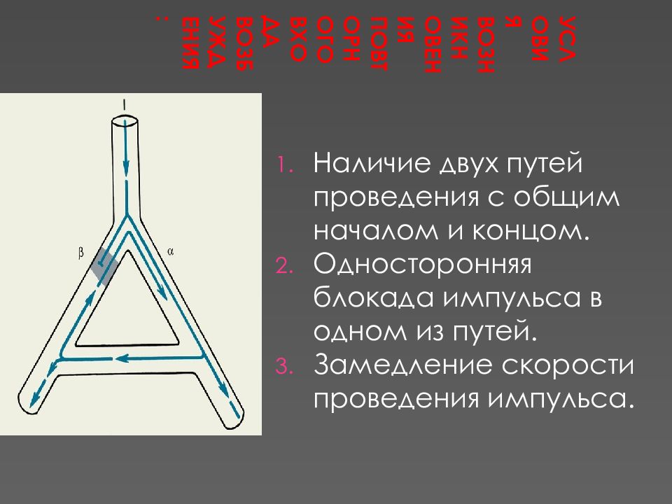Усиливающий механизм. Условия возникновения возбуждения. Основное условия возникновения и проведения возбуждения