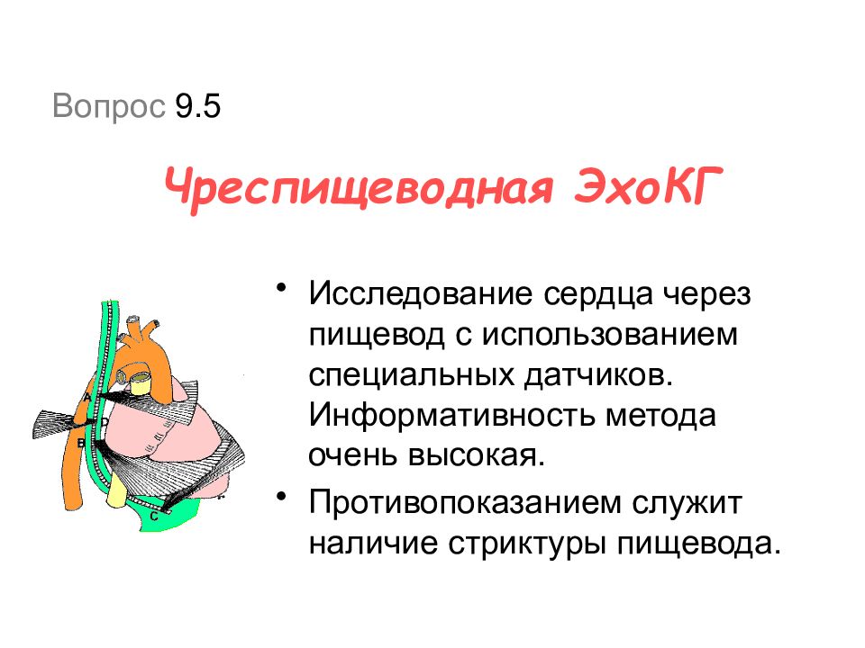 Исследование сердца. Чрезпищеводное Эхо кг противопоказания.