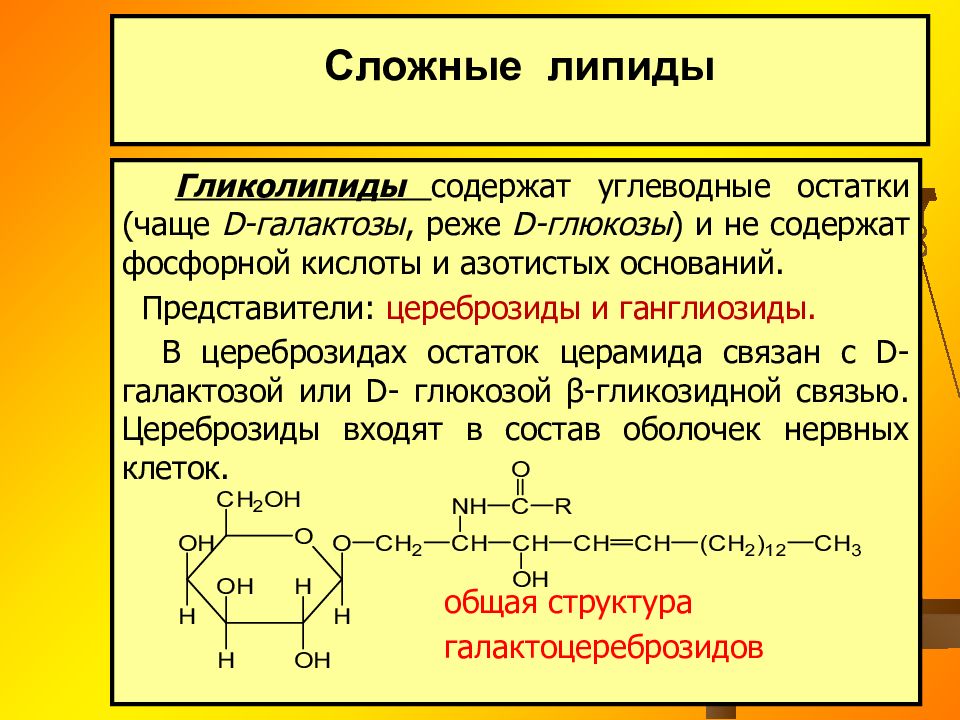 Омыляемые липиды это. Химический состав зубного камня. Убихинон кофермент q. Убихинон биохимия строение.