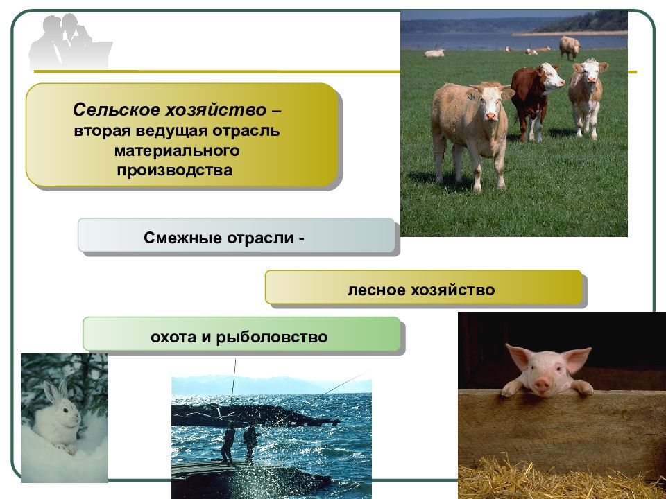 Хозяйство и рыболовство. Рыболовство отрасль сельского хозяйства. Отрасль экономики Лесное хозяйство. Сельское и Лесное хозяйство, животноводство и рыболовство. 