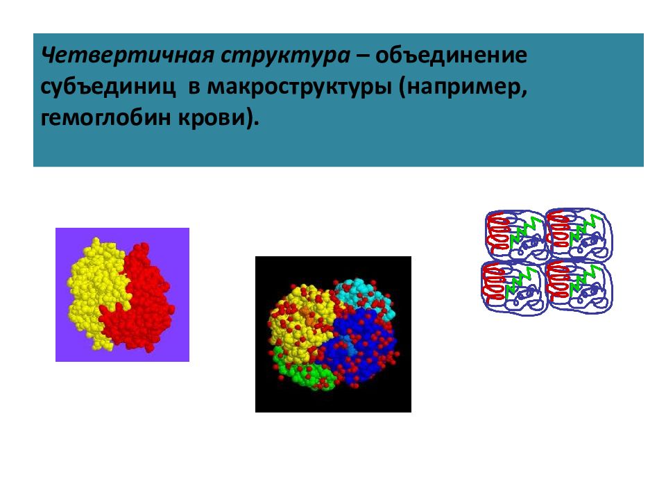 Структура объединения