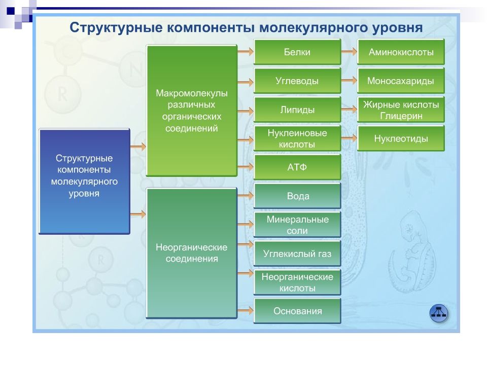 Итмо информационная безопасность учебный план