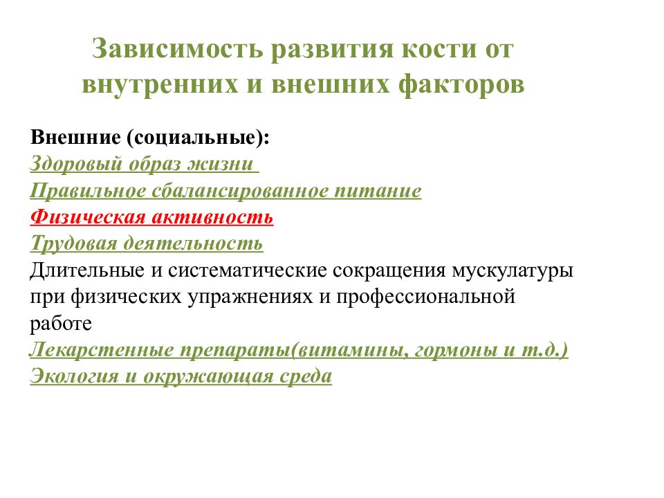 Зависимое развитие. Пропорциональность развития скелета. Введение в анатомию презентация.