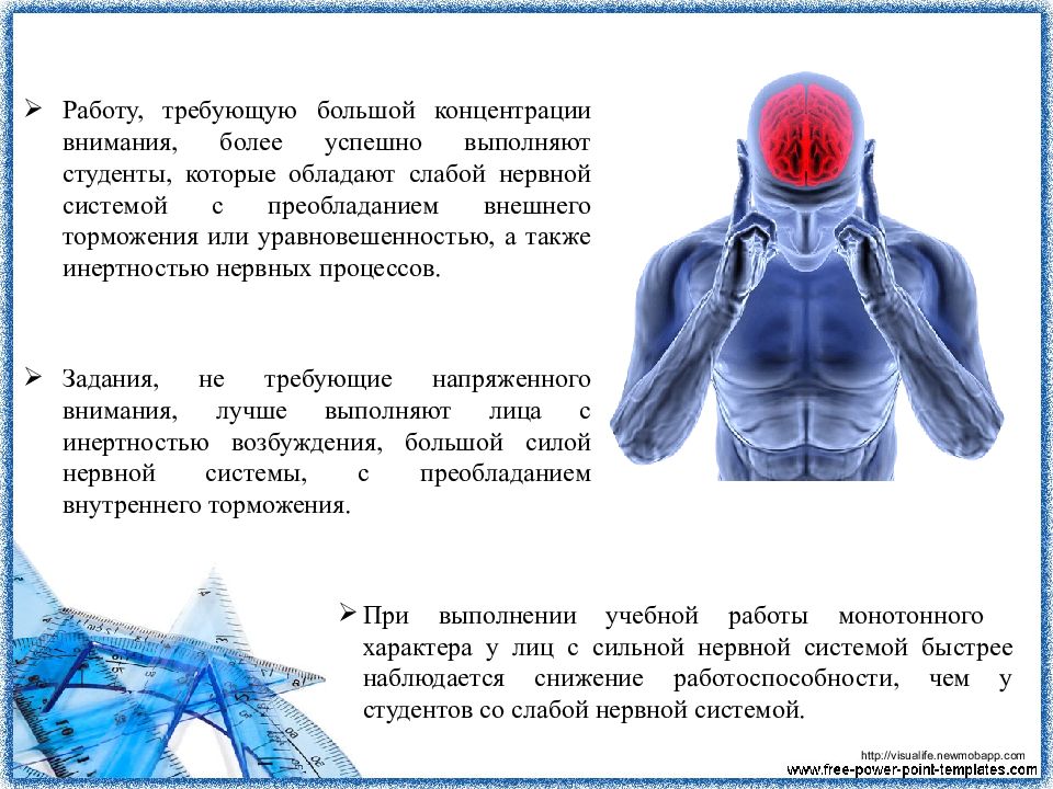 Характеристики организма человека. Психофизиологические основы работоспособности. Психофизиология мышления и интеллекта. Психофизиология трудовой деятельности. Психофизиологическая характеристика умственной деятельности.