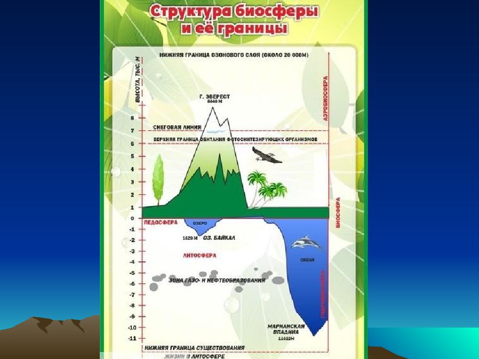 Состав географической оболочки