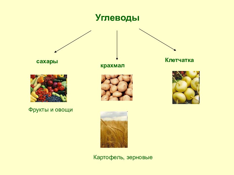 Углеводы в продуктах питания презентация